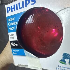 Philips 100 Watt Colored Flood Light Bulb Red BR38